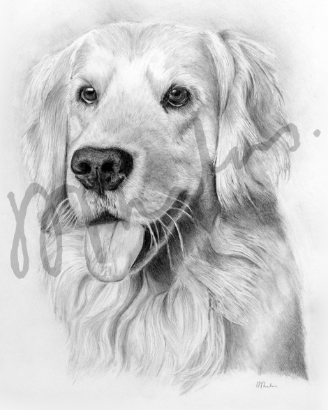 Bailey, finished artwork