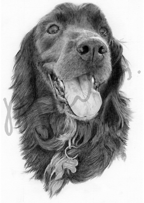Libby, finished artwork