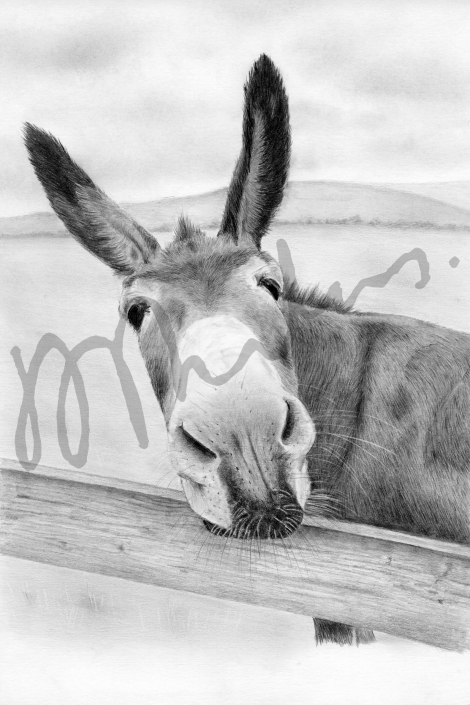 Millie, finished artwork
