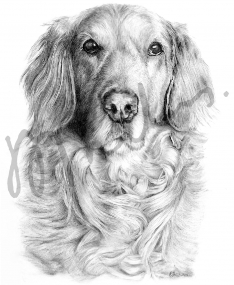 Zuzu, finished art