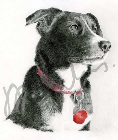 Tilly